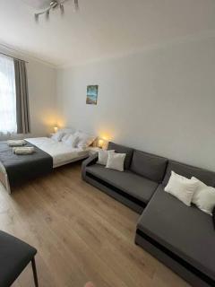 Széchenyi Apartman Esztergom - Esztergom - 9