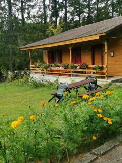 Cabana Fantanita cu Brazi - Poiana Brasov - 9