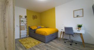Premium Apartment am Rande des Pfälzer Waldes - Ramstein-Miesenbach - 1
