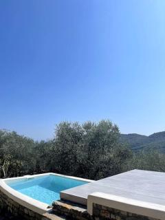Beautiful Ligurian house with pool - Villa Viani - 1