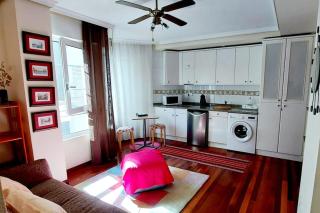 G10-Acogedor estudio en Puertochico, Santander - 8