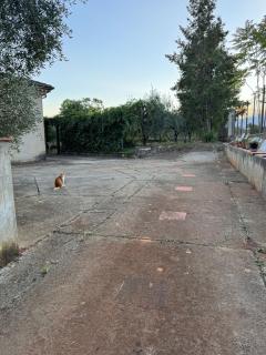 Casa Colonica - Masseria Salituri - 7
