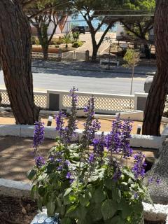Chalets Paraíso Playa de Mazagón - 2