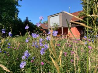 Ferienloft Libela Straupitz im Spreewald - Straupitz - 0