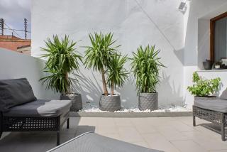 Sunny Cozy Penthouse with a Terrace at Plaza del Carmen - 2