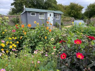 Up at the Barn - Petworth - 7