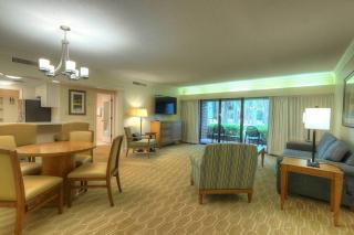 Luxury 1 Bedroom Condo in Palm Harbor Florida 2 Miles From Beach Sleeps 4 - 0