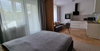 Zentrum Apartment - OLED TV - PS4 - Balkon - Parking - 7