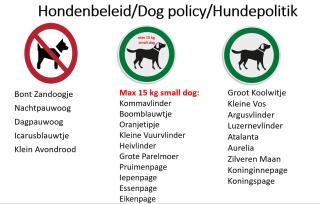 De Vlindertuin - 9