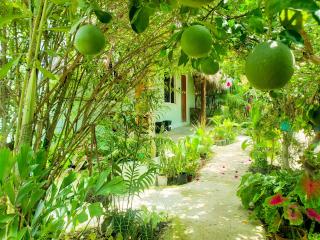 Las Palmas Bacalar - Bacalar - 9