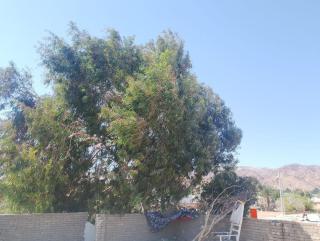 2 Bedroom House - Dahab - 7