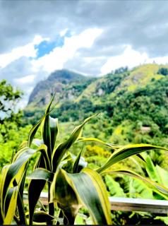 Ranuchanu Rockview Inn Ella - 8