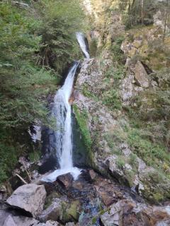 Ferienwohnungen Nordschwarzwald - Freudenstadt - 6