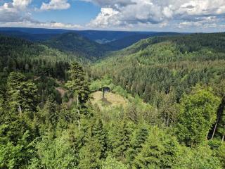 Ferienwohnungen Nordschwarzwald - Freudenstadt - 7
