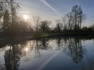Mobil home à Boofzheim - EUROPA PARK et RULANTICA - 3