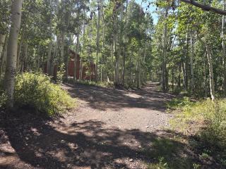 Camp Jackson Host Cabin - Verdure - 9