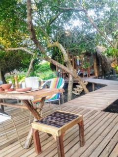 Eywa Lodge - Pueblo Coco - 7