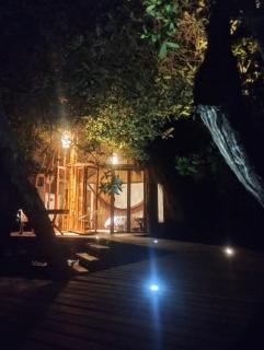 Eywa Lodge - Pueblo Coco - 5