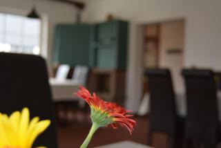 Gasthaus B r o c k e n h e x e - Elbingerode - 3