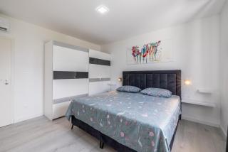 Villa Perkov private pool - 3