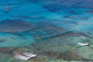 Waikiki Beach Tower - Honolulu - 5