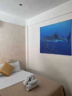 Hotel Pelecanus Suites Holbox - 1