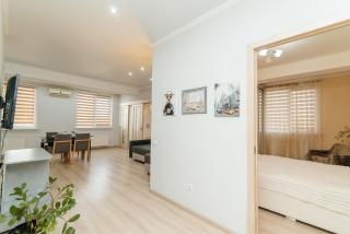 LuxRent centr family apartments - Chişinău - 8