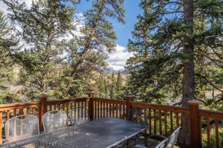 217 Summerwood Drive by Summit County Mountain Retreats - Dillon - 5