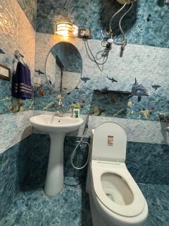 Evergreen apartments - Dharamsala - 2