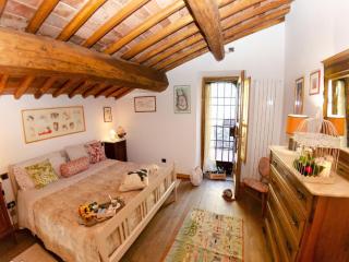 Typical Tuscan old stone house - Lucca - 5