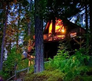 Pinecrest A-Frame Family fun near Dodge Ridge - Long Barn - 0