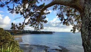 Spacious room in Browns Bay - Auckland - 1