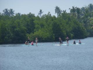 Freedom River House Free Environment Villa - 4