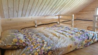 Pensiunea Poienita Motilor - 1