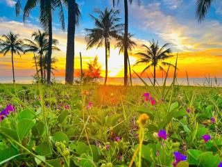 The Green House Phu Quoc 3BR - Phú Quốc - 3