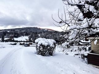 Nuxe Megeve - Megève - 6