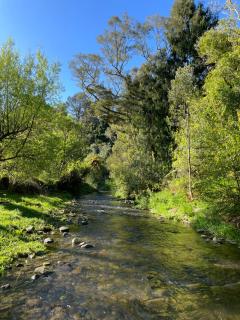 River Song Retreat Golden Bay - Takaka - 3