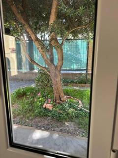 Laigueglia 200mt dal mare, posto auto e giardino - Laigueglia - 3