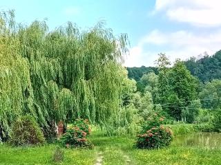 Camera Toamnei - - 3