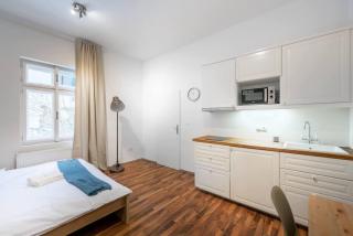 Adorable Cozy Studio in Central Prague - Prague - 3
