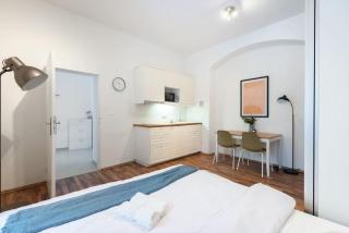 Adorable Cozy Studio in Central Prague - Prague - 2