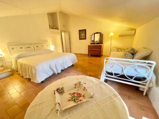 Exclusive pool - wondrous views - biological Gardens - pool house - 11 guests - Marzolini - 6