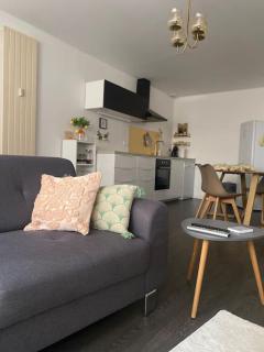 Appartement spacieux et confortable au centre de Chambéry L'appart de L'atelier du citron et sa déco citronnée - Chambéry - 0