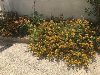 A Casa di Zia - Oschiri - 6
