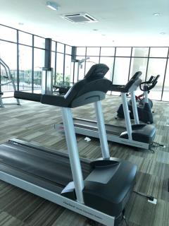 TREFOIL, WEESTAY STUDIO - 1