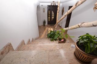 Casa Aureliana - Ciocăneşti - 9