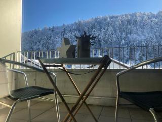 Apartments "Am Ardetzenberg" - Feldkirch - 8