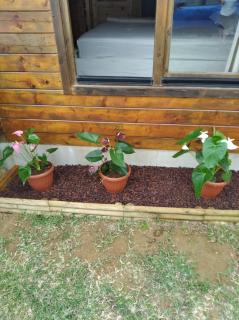 Chalet Goyavier - 4pers-Sud sauvage - By Sister Home -  - 3