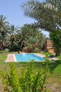 BIVOUAC Sous Les Palmiers Bleus - 0