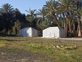BIVOUAC Sous Les Palmiers Bleus - - 9